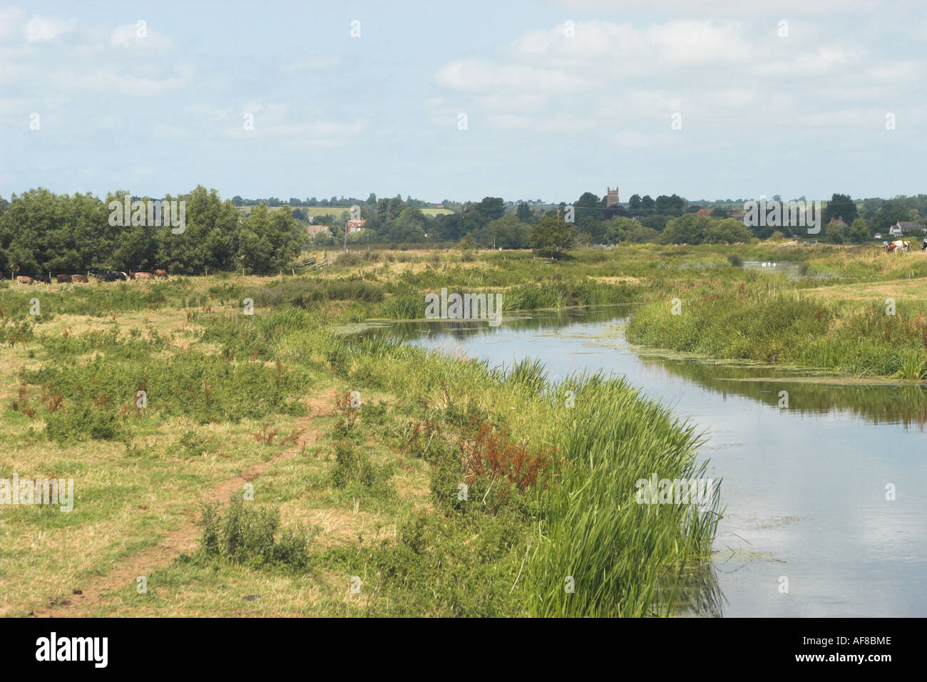 River Isle, Muchelney, Somerset Levels, Somerset, UK. Stock Photo