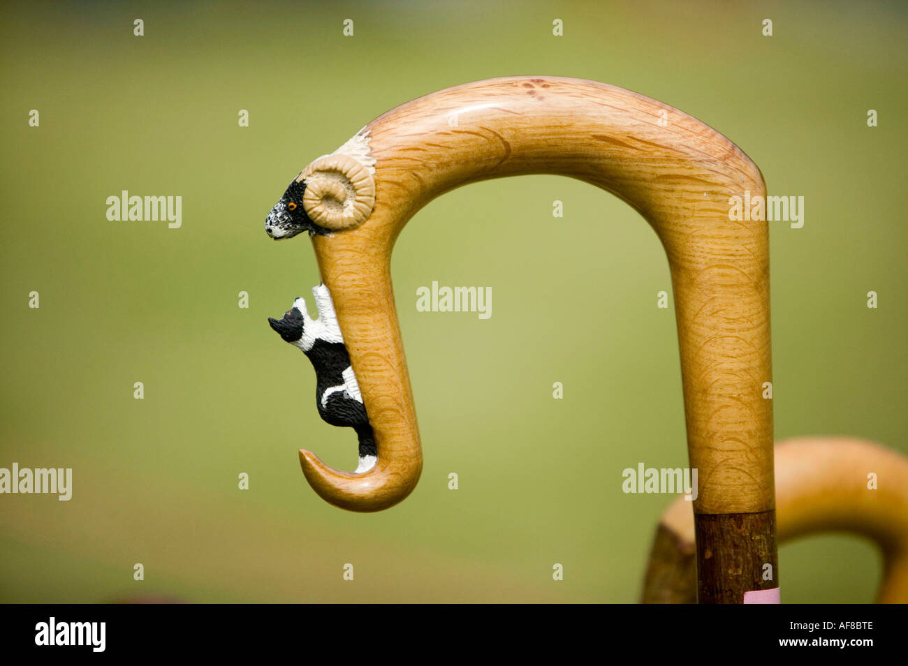 shepherds crook at a Lakeland show, Langdale valley, Lake district