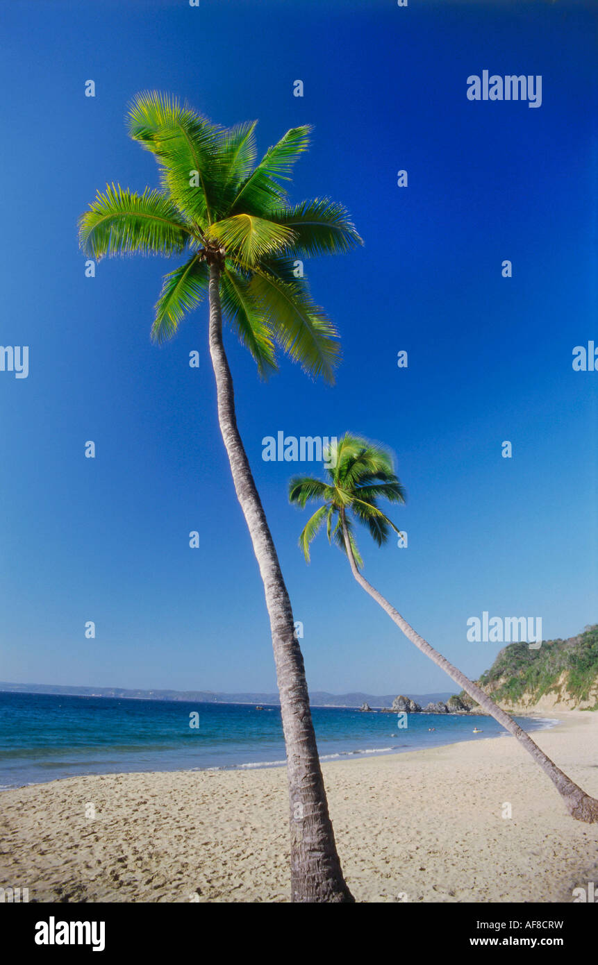 El tamarindo hi-res stock photography and images - Alamy