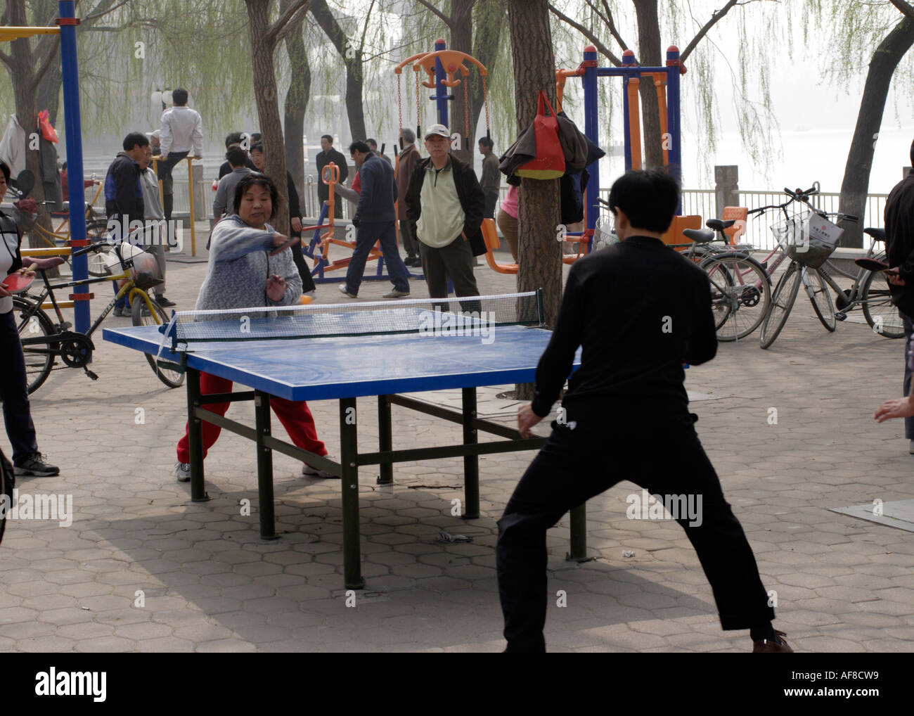 Chinese people playing ping pong hires stock photography and images