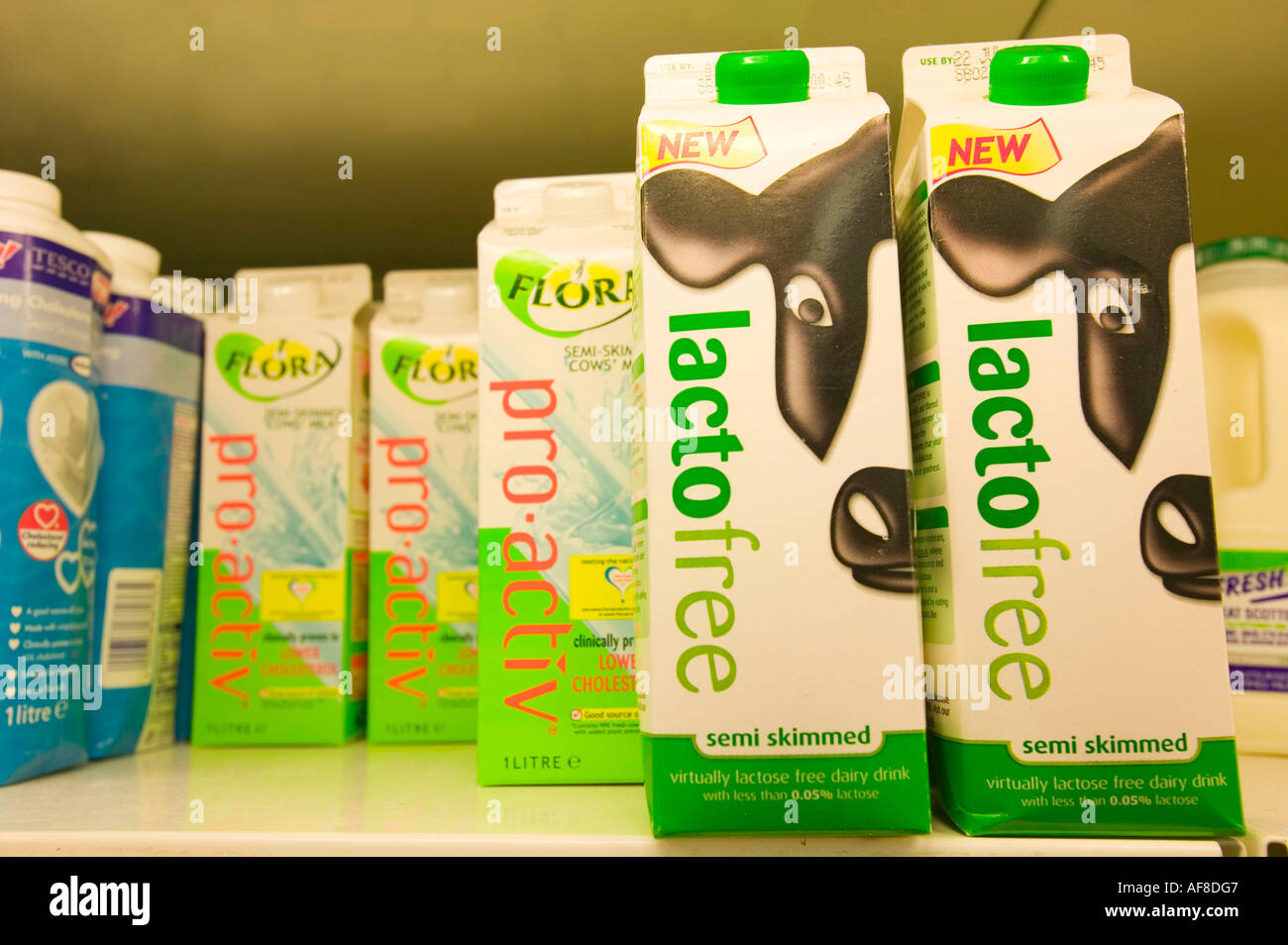 lacto free milk on sale at a Tesco store, Carlisle, UK Stock Photo Alamy