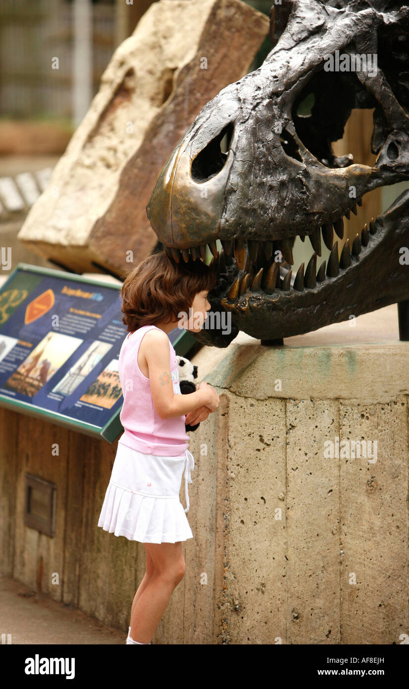 A child looking at a sculpture of a dinosaur in Washington Zoo, Washington DC, United States, USA Stock Photo