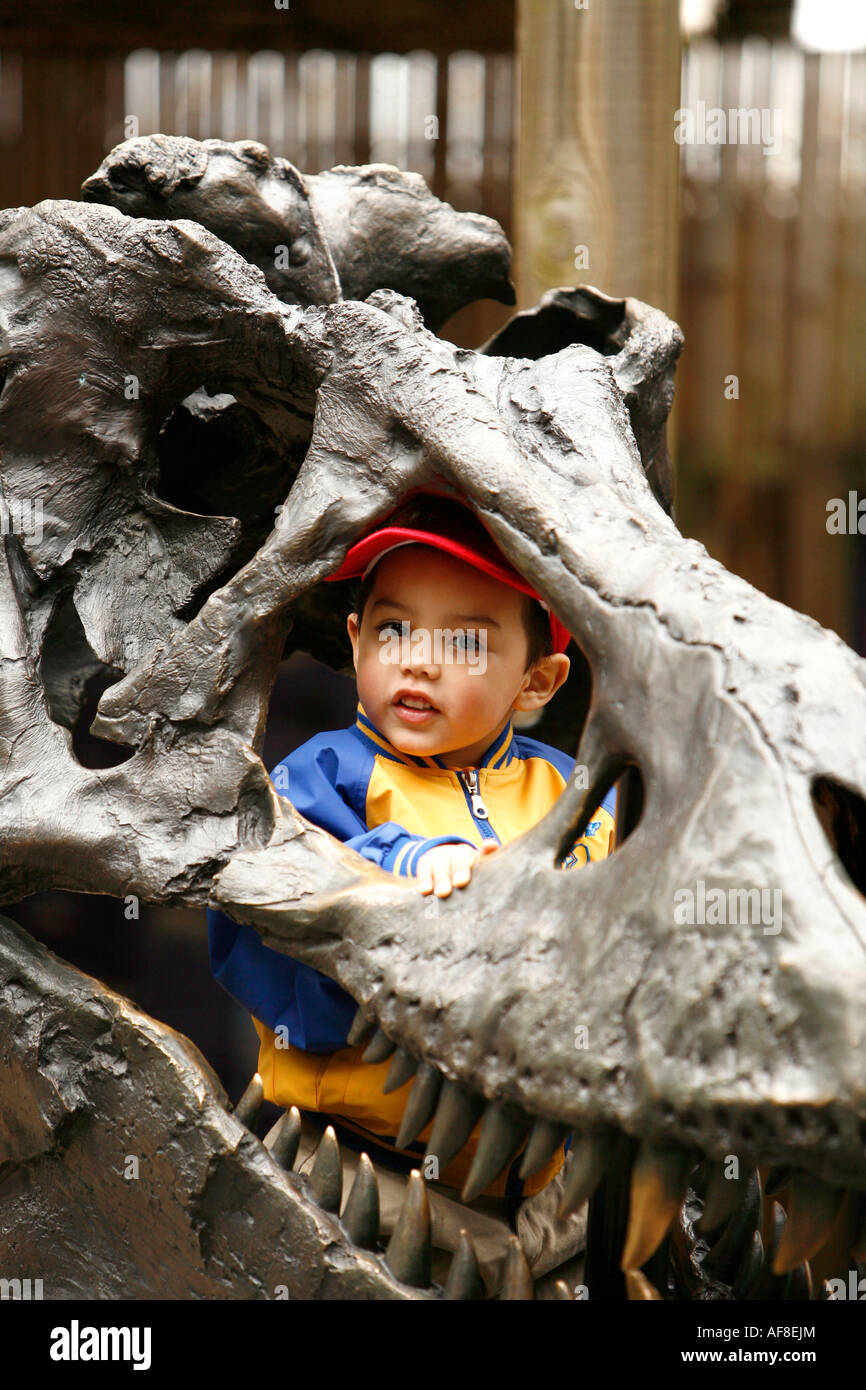 A child looking through a sculptur of a dinosaur in Washington Zoo, Washington DC, United States, USA Stock Photo