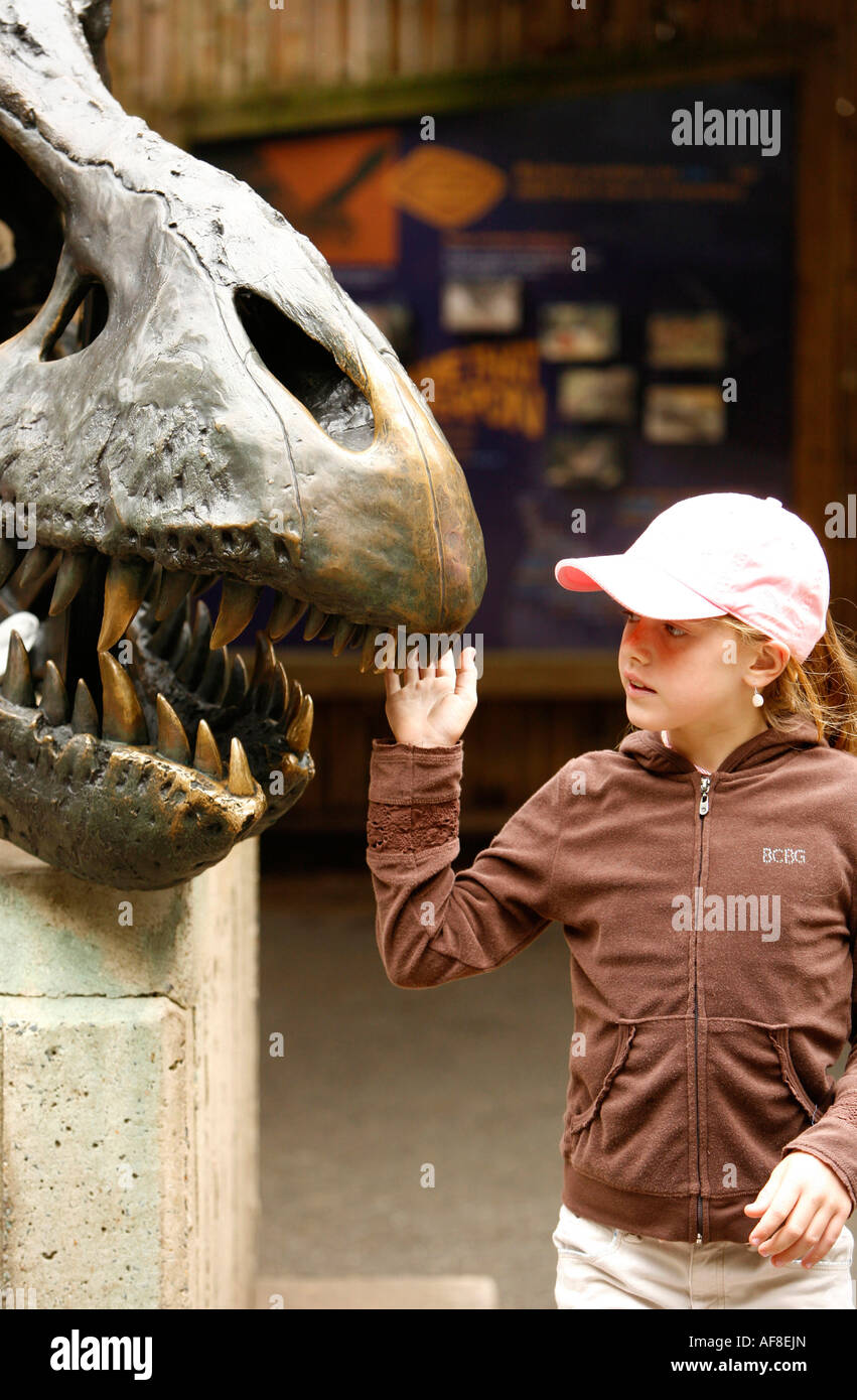 A child looking at a sculpture of a dinosaur in Washington Zoo, Washington DC, United States, USA Stock Photo