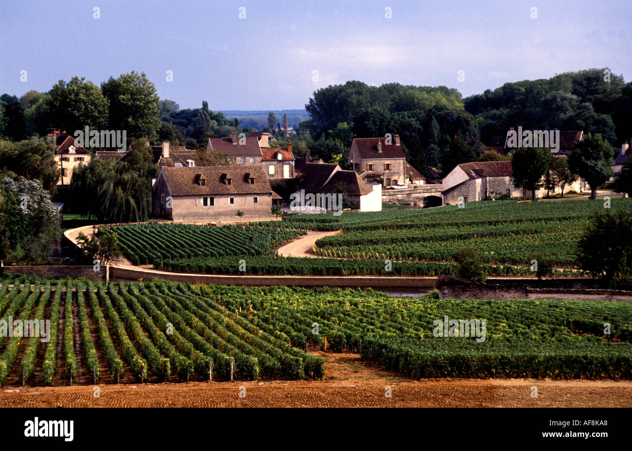 Wine barrels burgundy france hi-res stock photography and images - Alamy