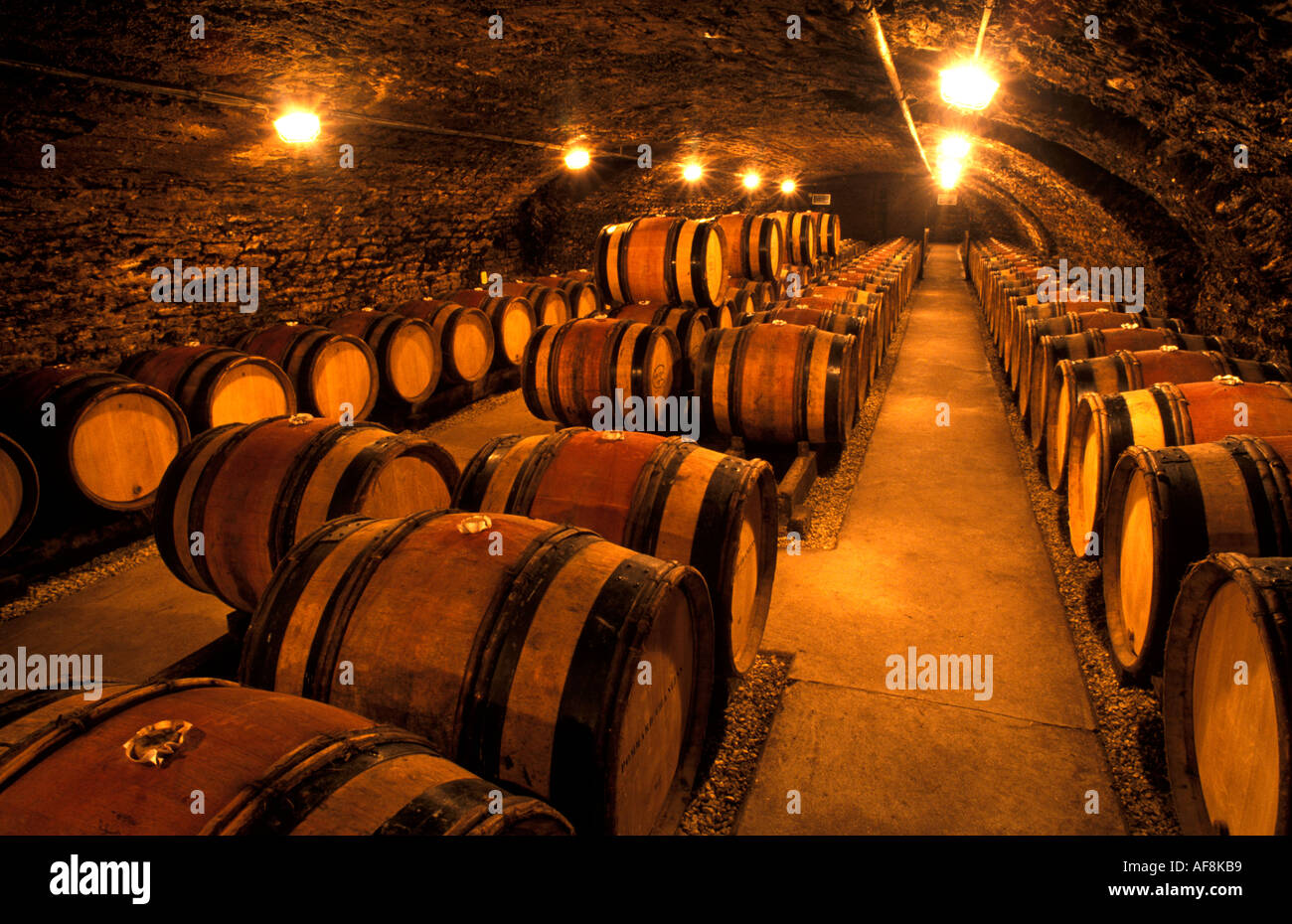 France wine chablis cave cellar cask hires stock photography and