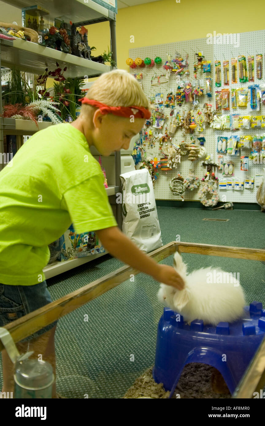 Boy strokes the ears of rabbit in a pet store at Montague Michigan Stock Photo