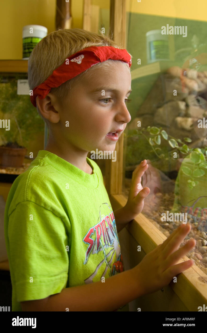 Excited boy looks through the glass at a pet store in Montague Michigan Stock Photo