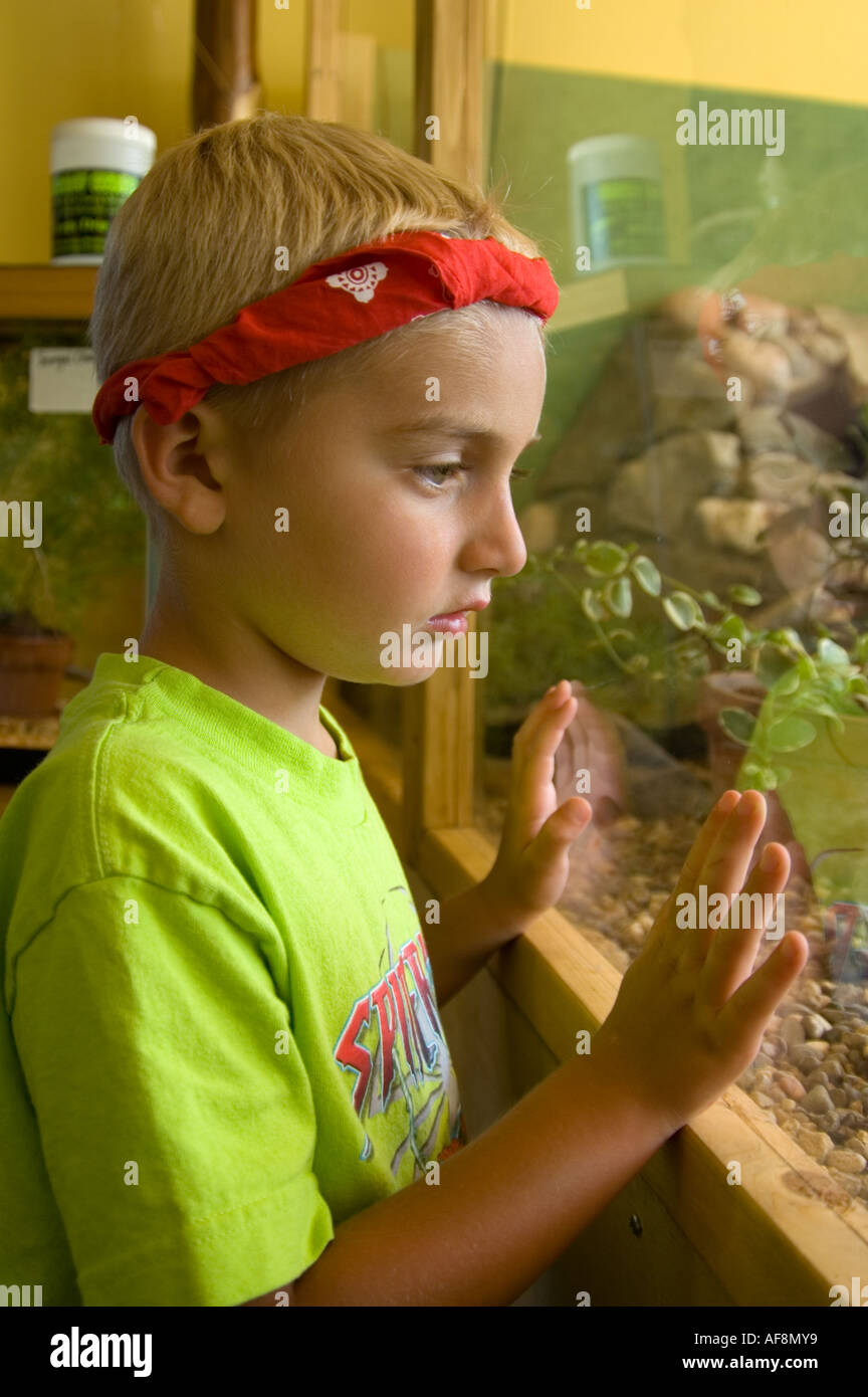 Child looks through the glass at a pet store Stock Photo