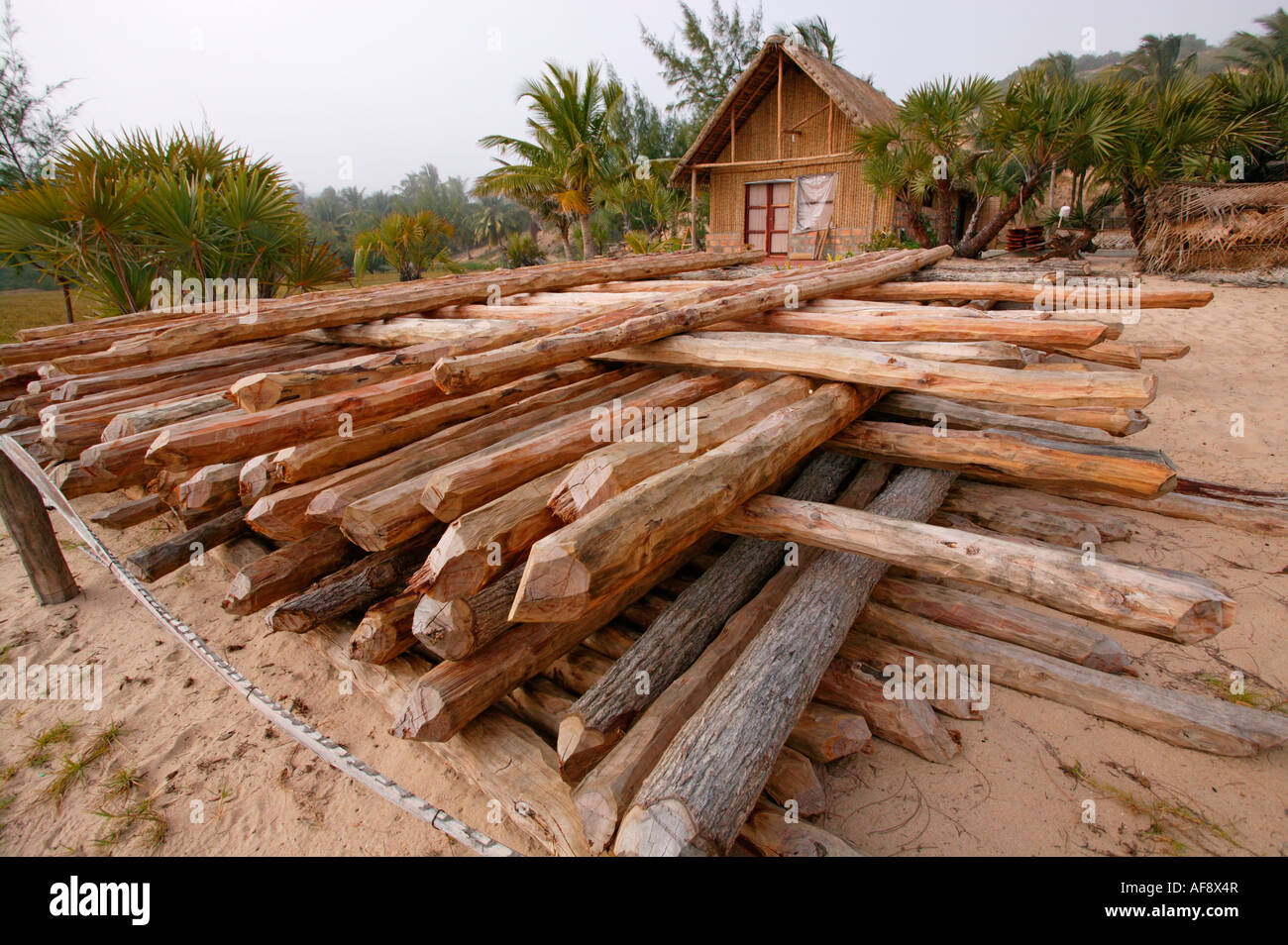 Lebombo ironwood (Androstachys johnsonii)  poles stacked and ready for use in building a new lodge Stock Photo