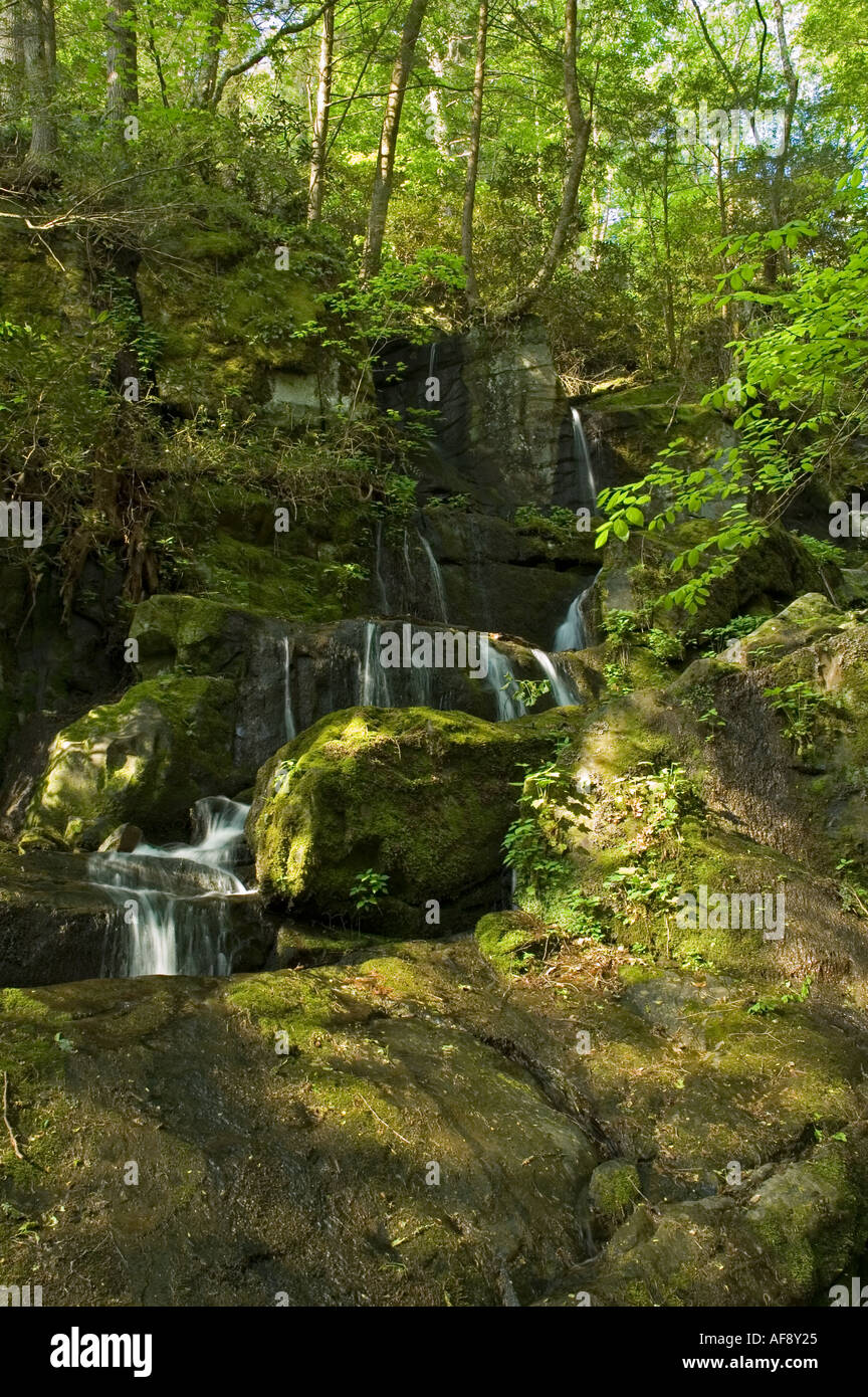Place of a Thousand Drips Great Smoky Mtns National Park TN Stock Photo