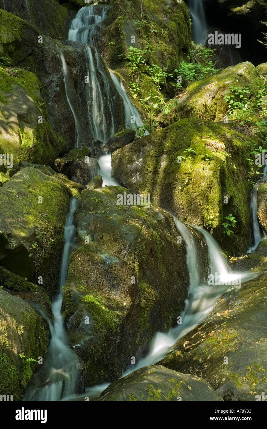 Place of a Thousand Drips Great Smoky Mtns National Park TN Stock Photo