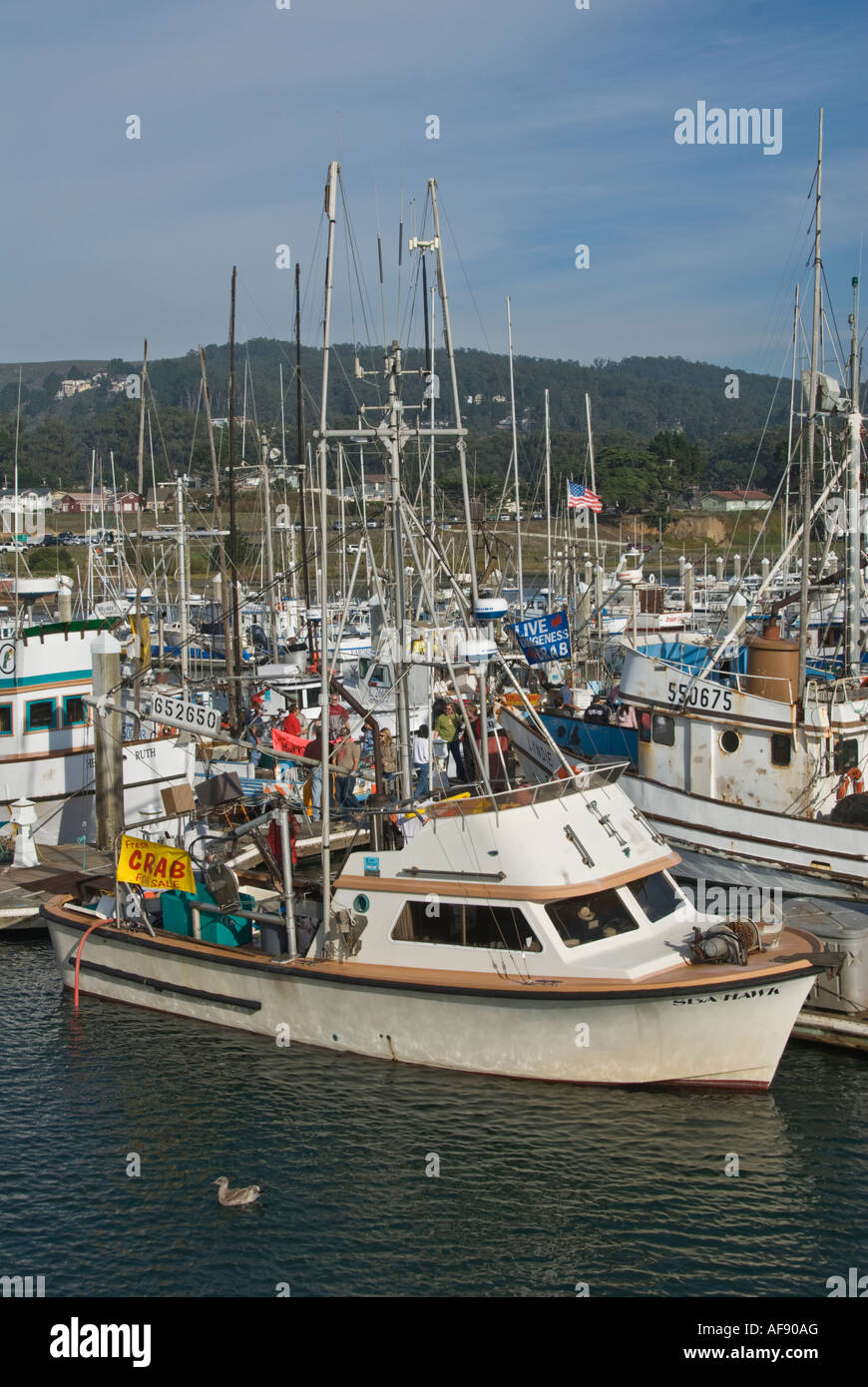 California Half Moon Bay Princeton by the Sea Pillar Point Harbor