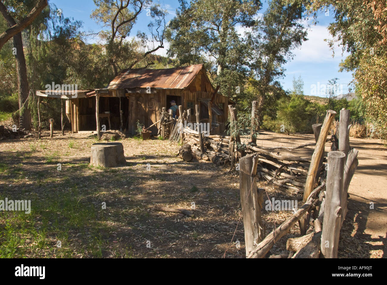 Arizona Superior Boyce Thompson Arboretum Australian Outback Exhibit Stock Photo