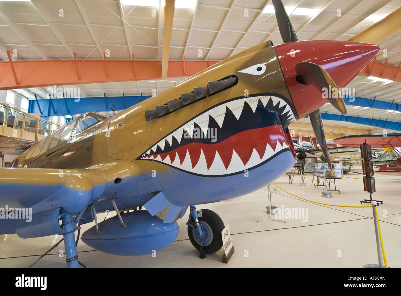 flieng tiger in the sky airplane aviation aircraft War Photo WW2 4x6 U 