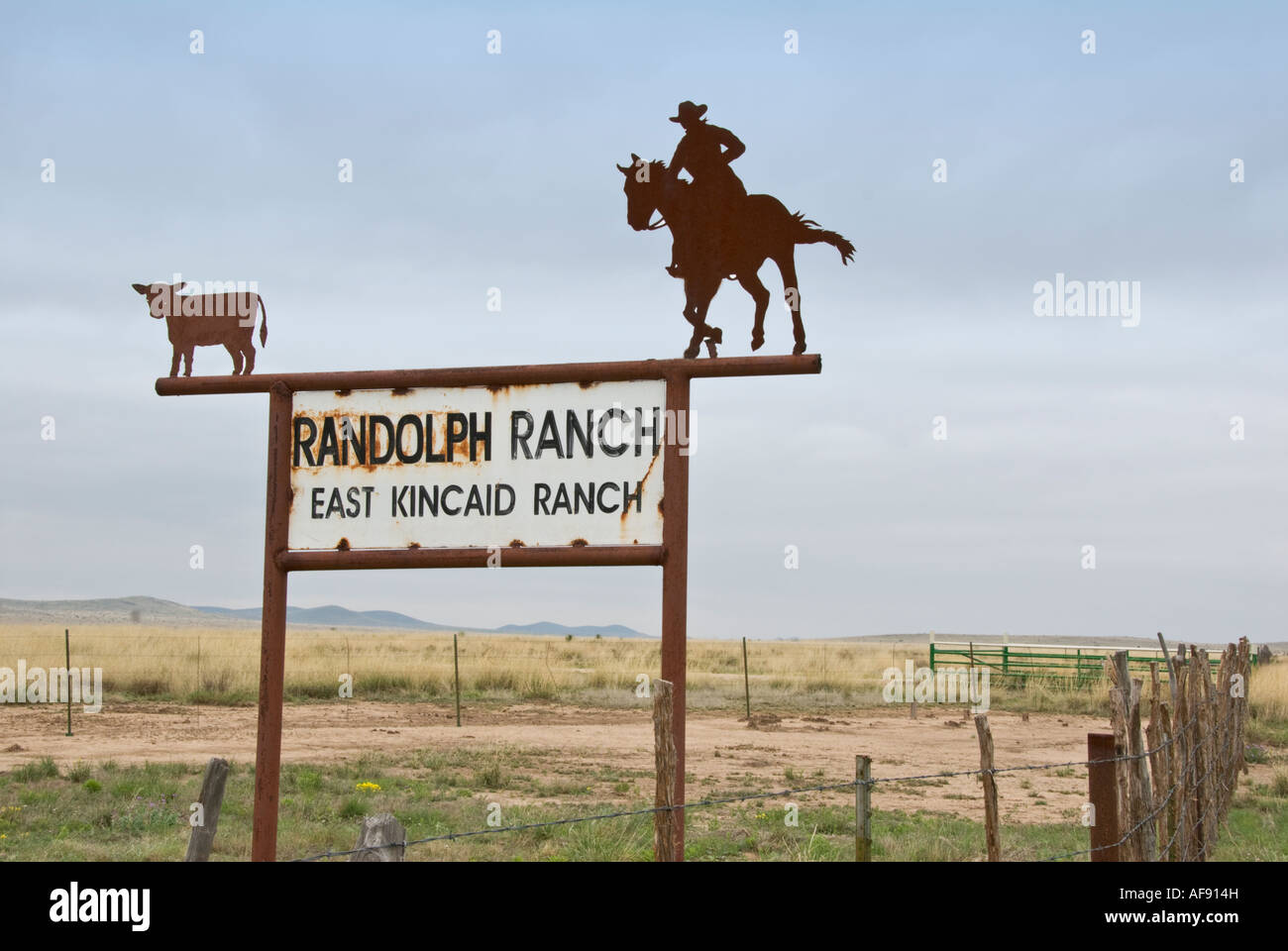 West texas cattle hi-res stock photography and images - Alamy