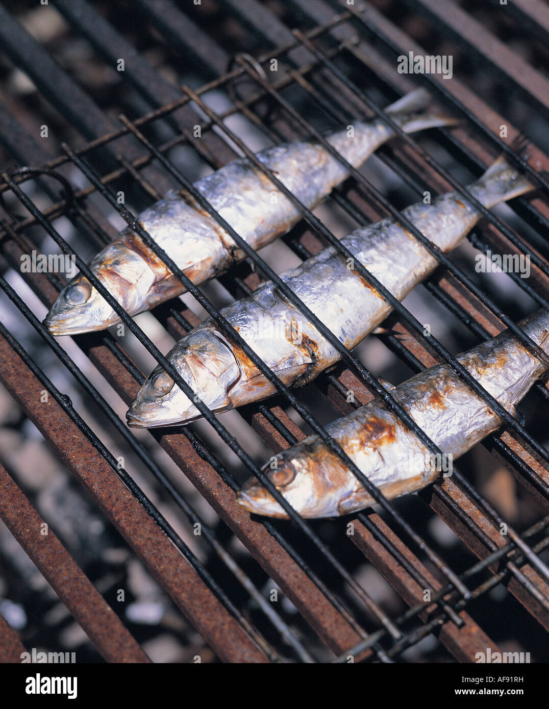 Grilled Sardines. Healthy fresh seafood close up from the local