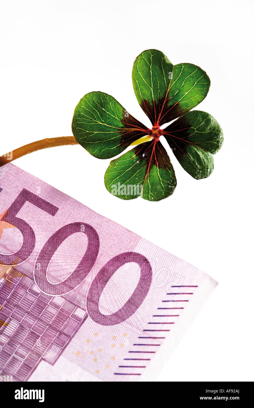 Four-leafed clover on 500 Euro banknote, close-up Stock Photo