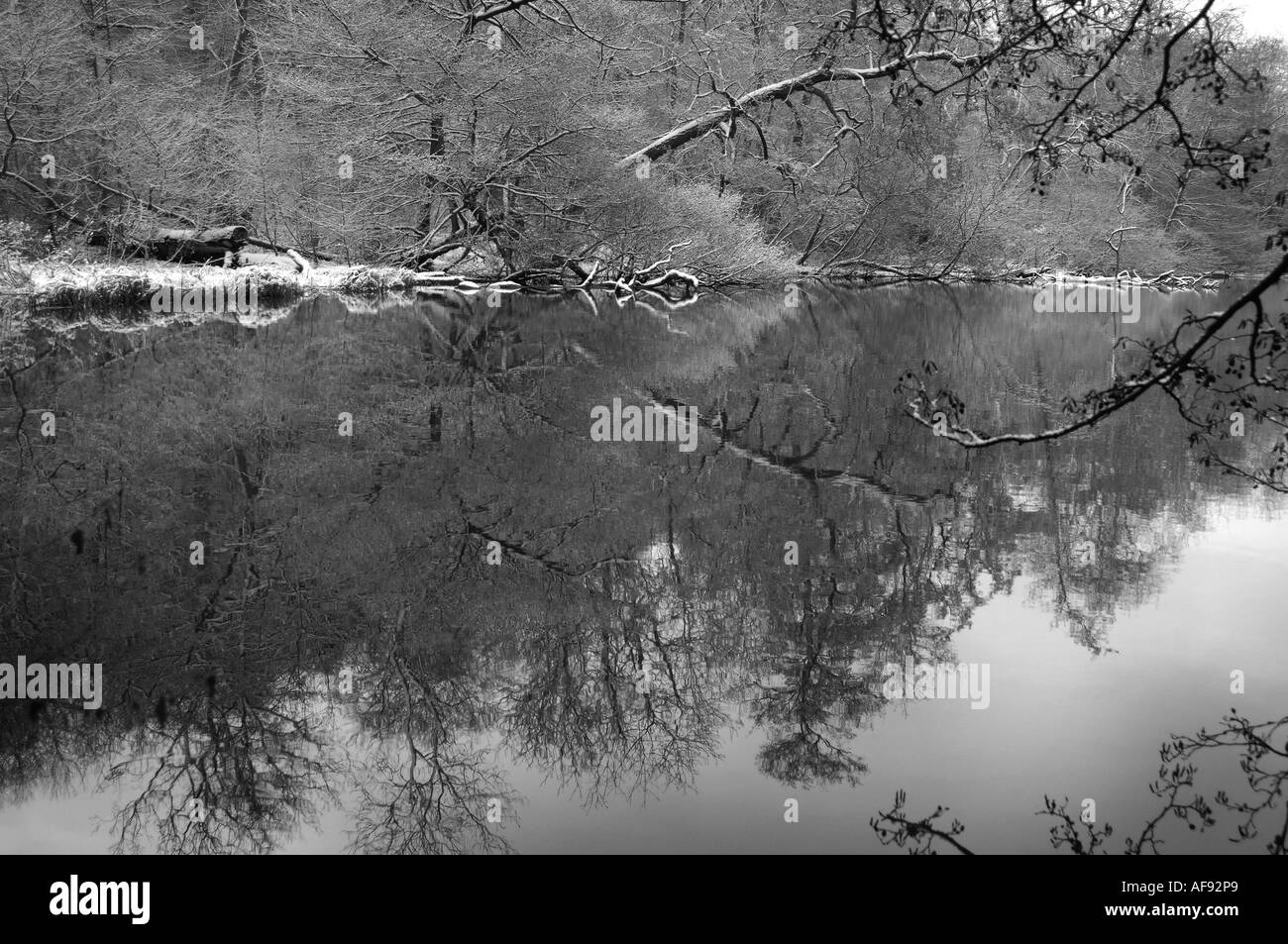 Abbey reflection Black and White Stock Photos & Images - Alamy