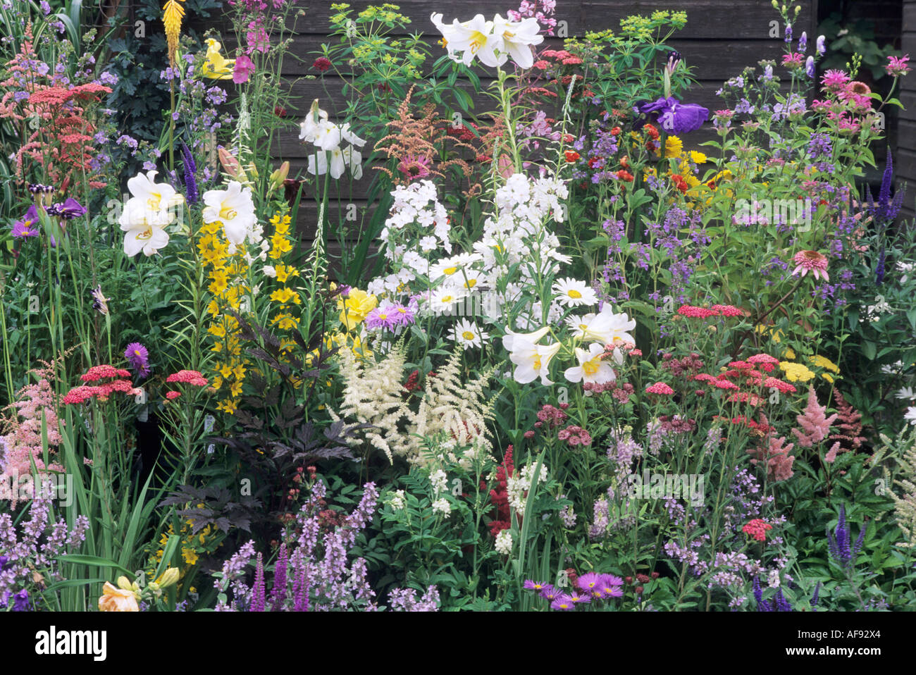 Garden Centre, Nursery, Plant Sales, herbaceous perennials, July, West Acre, Norfolk Stock Photo
