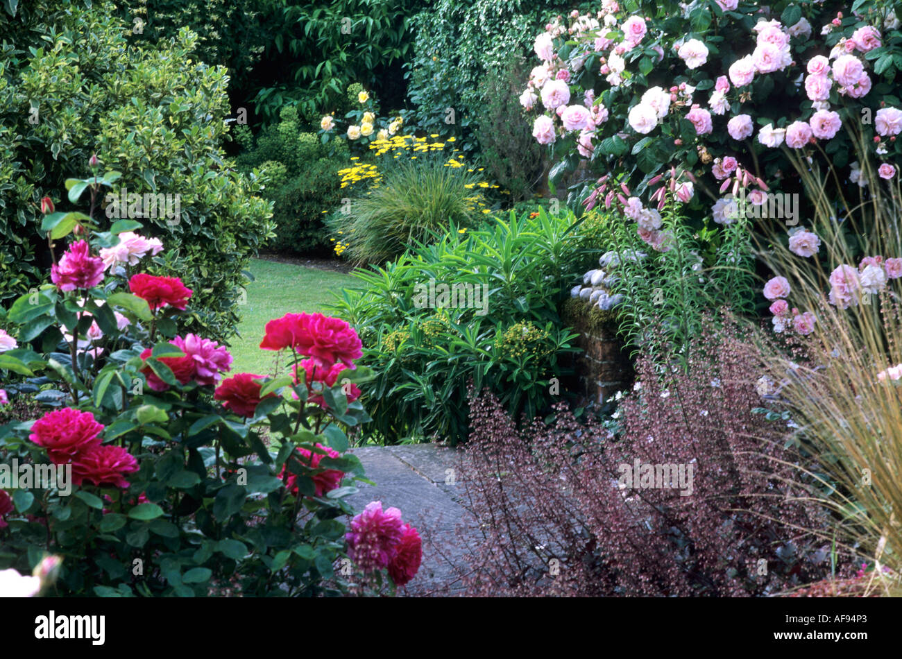 Roses Heuchera Paving Lawn on lower level Lawns Farm Norfolk Stock Photo
