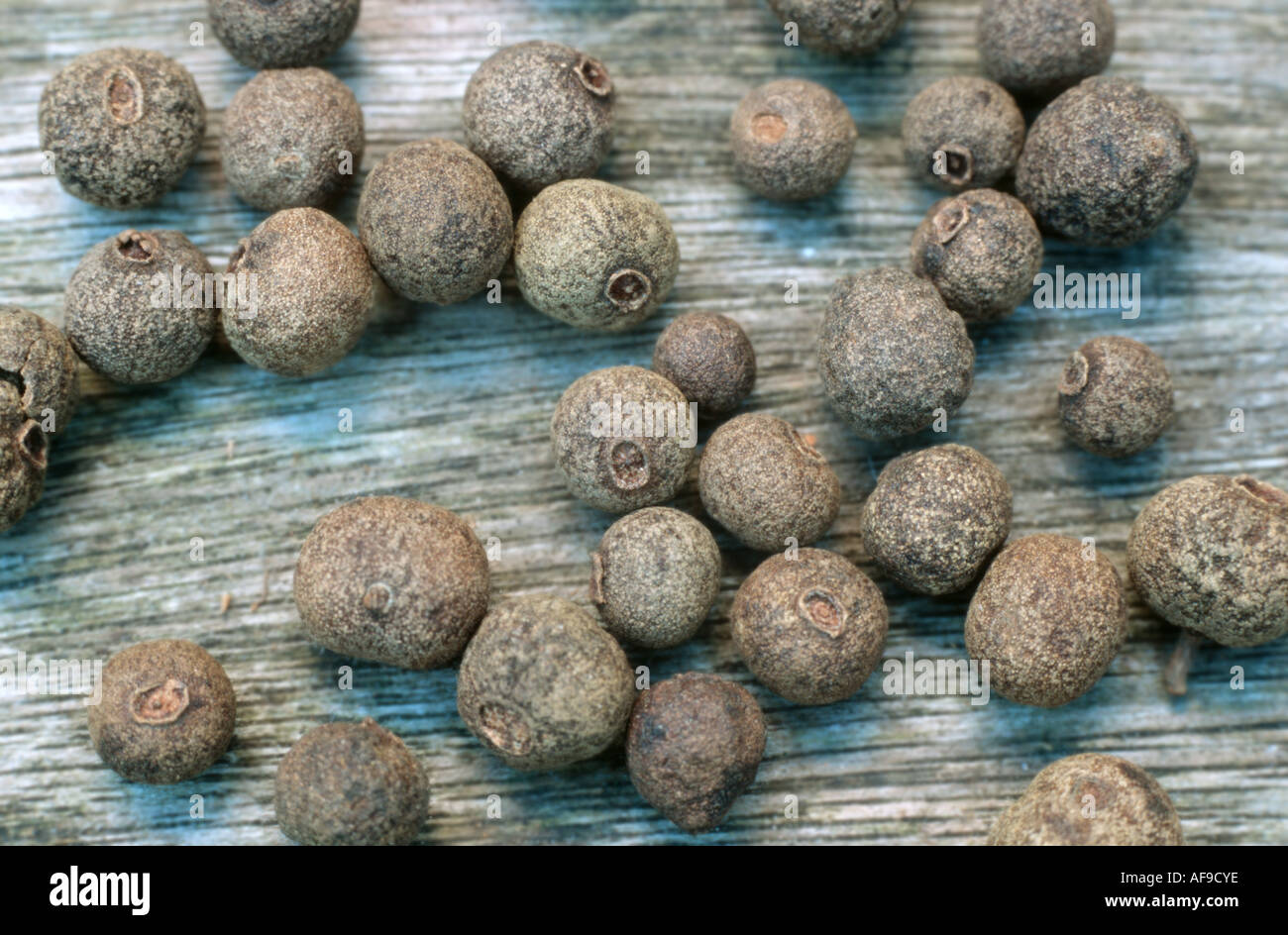 Pimento tree hires stock photography and images Alamy