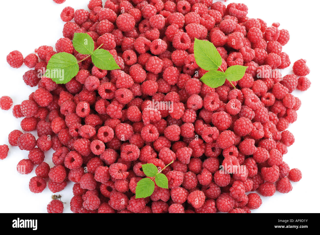 Pile piles of raspberry raspberries food fruit fruits hi-res stock ...