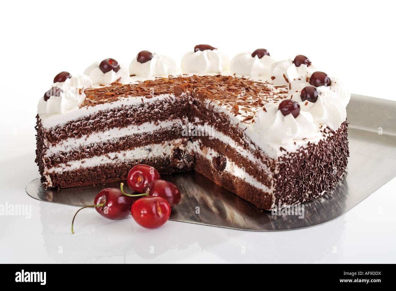 Black Forest Cake and fresh cherries Stock Photo Alamy