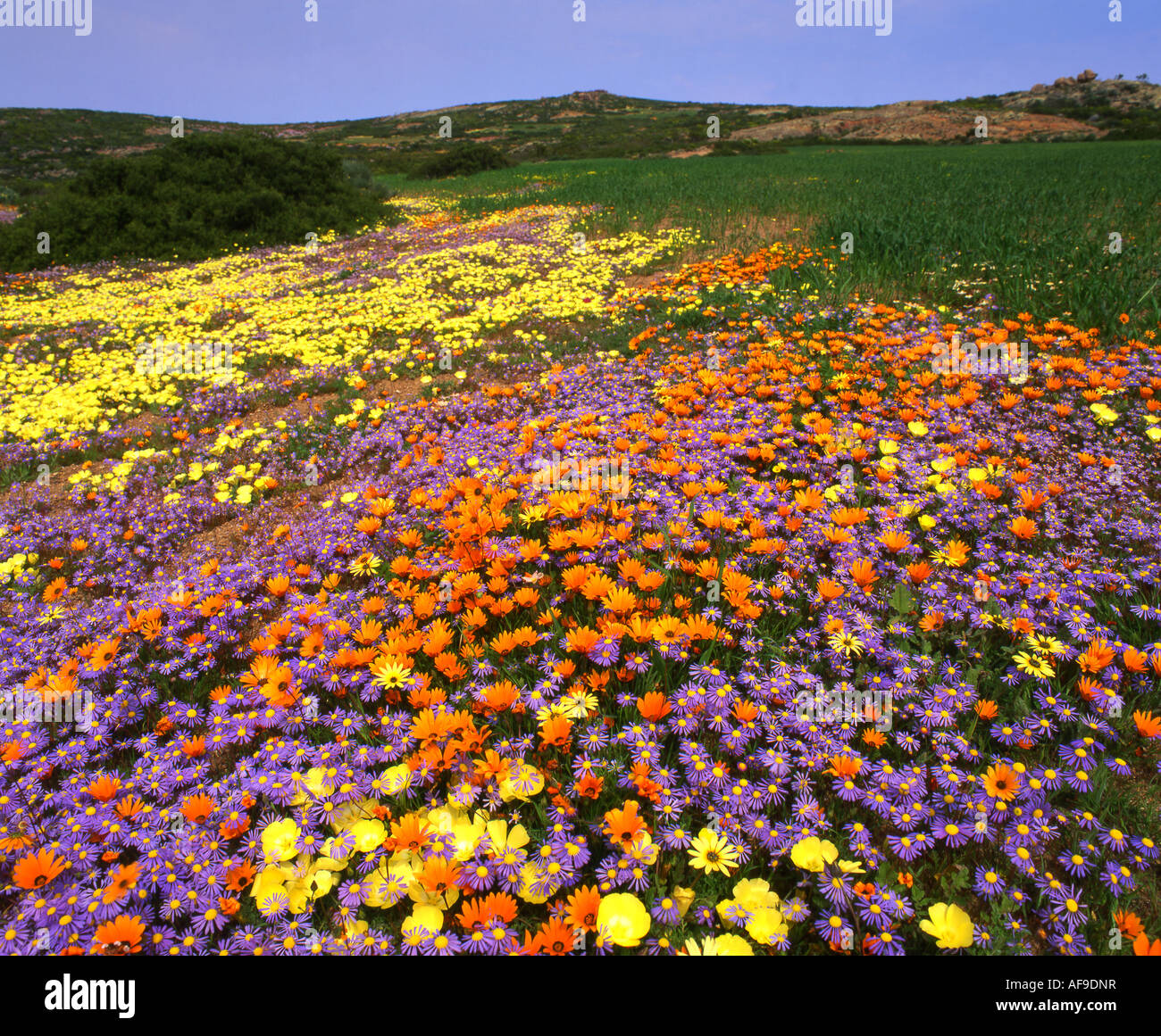 Northern Cape Rivers Two Rivers Road, Namaqualand, Northern Cape Province; South Africa ...