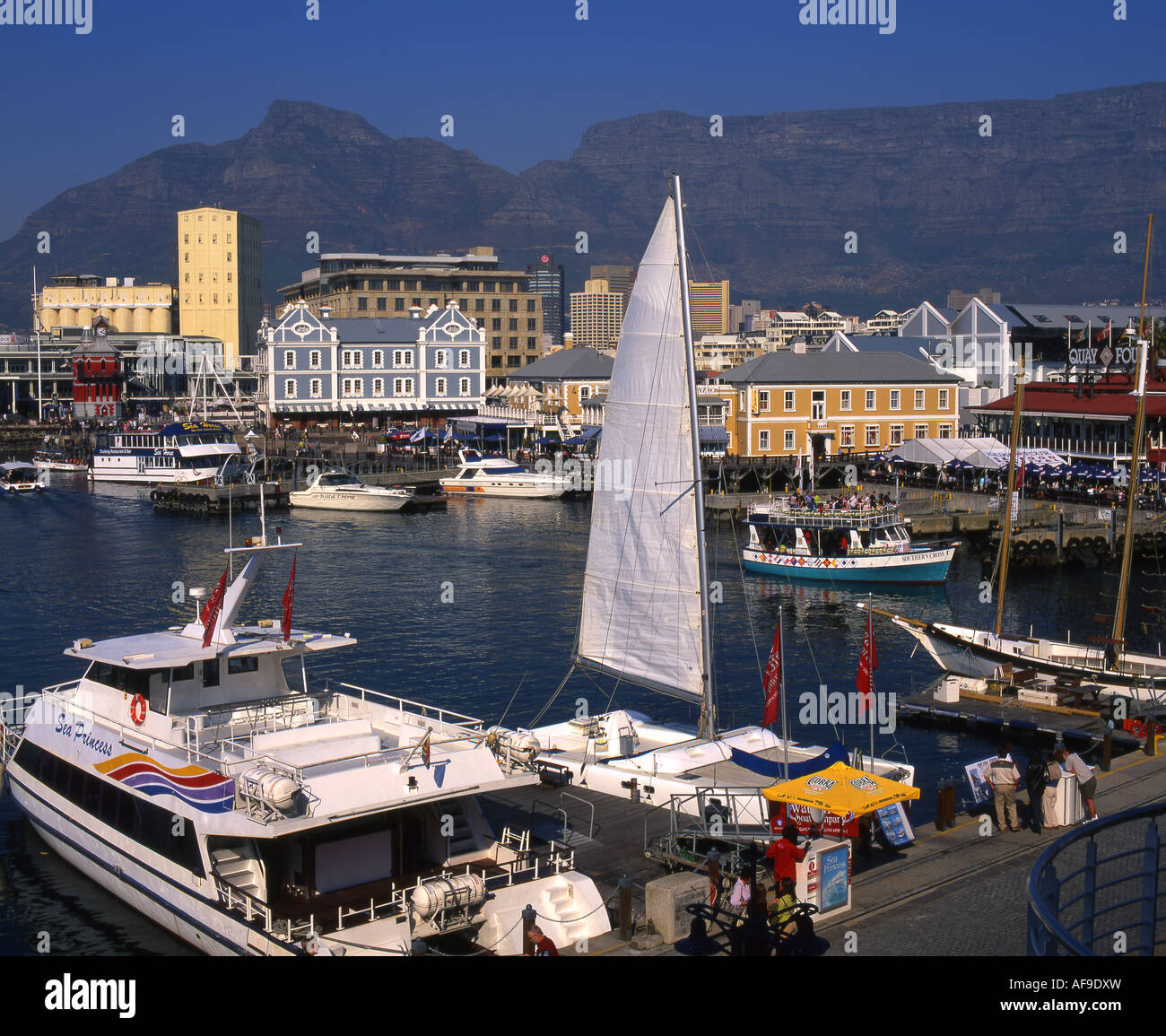 Luxury yachts and motorized cruisers moored in the Victoria & Alfred Waterfront in Cape Town. Stock Photo