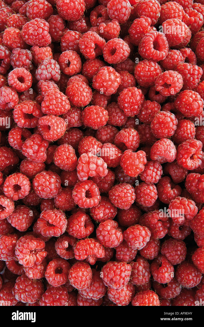 Fresh raspberries, close-up Stock Photo