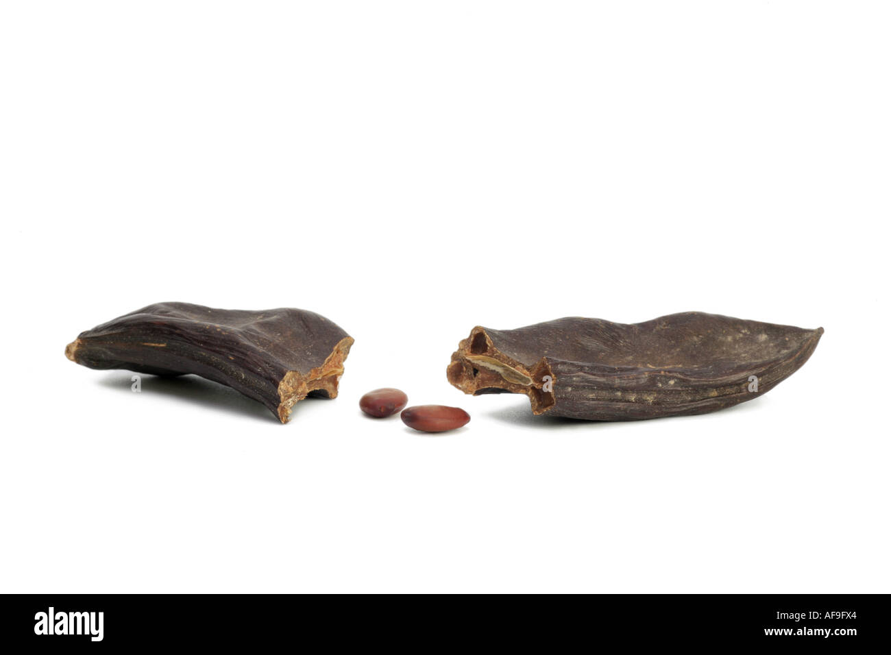 carob bean, St. John's bread (Ceratonia siliqua), ripe fruits, broken, seeds, one seed corresponds to carat Stock Photo