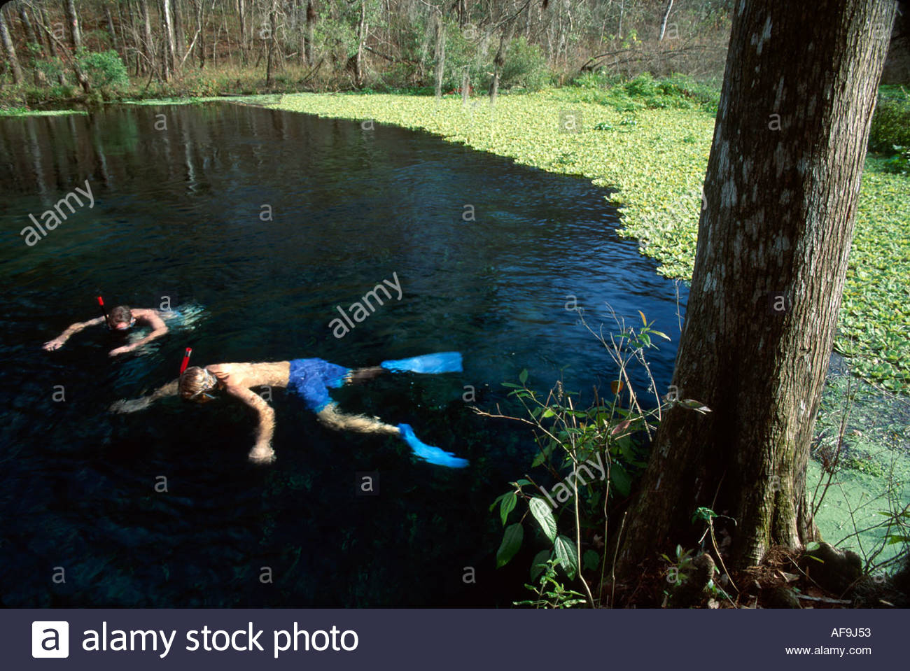 Florida Ichetucknee Springs State Park Blue Hole Spring snorkeling