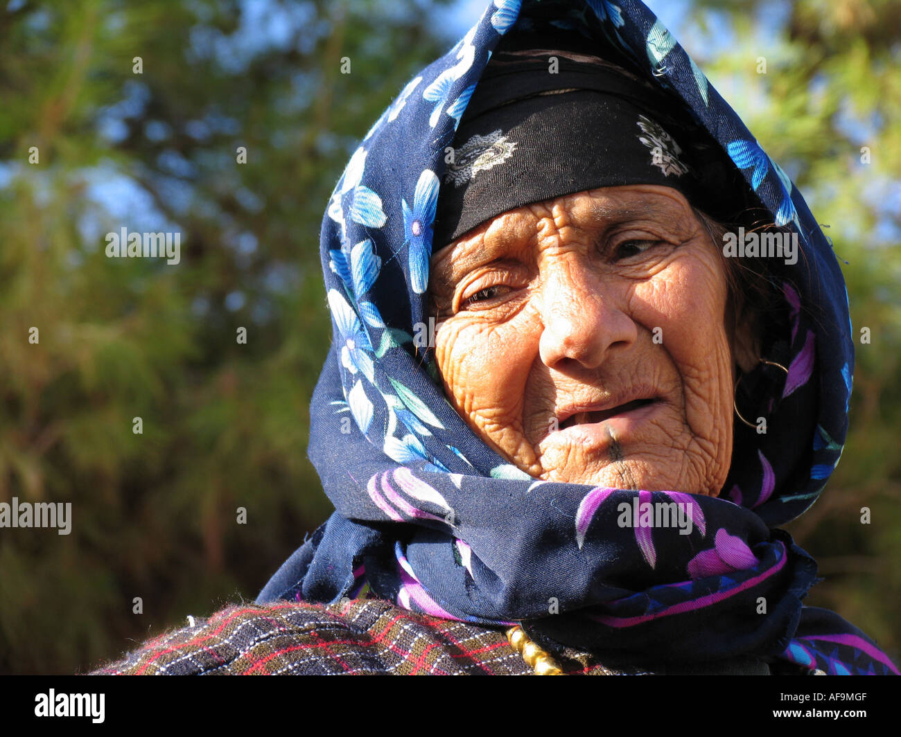 Old muslim woman with teeth gap, head scarf and tattoos, Libya Stock Photo