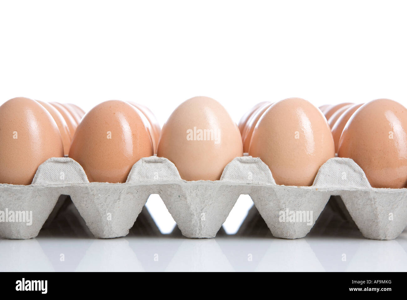 Eggs in tray, closeup Stock Photo Alamy