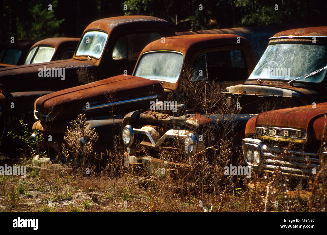 Crawfordville Florida,rusted rusty rusting junked abandoned antique car
