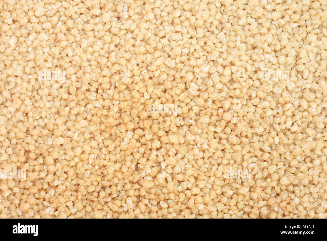 Durum Wheat (Triticum turgidum ssp. durum, Triticum durum), Couscous, grains Stock Photo