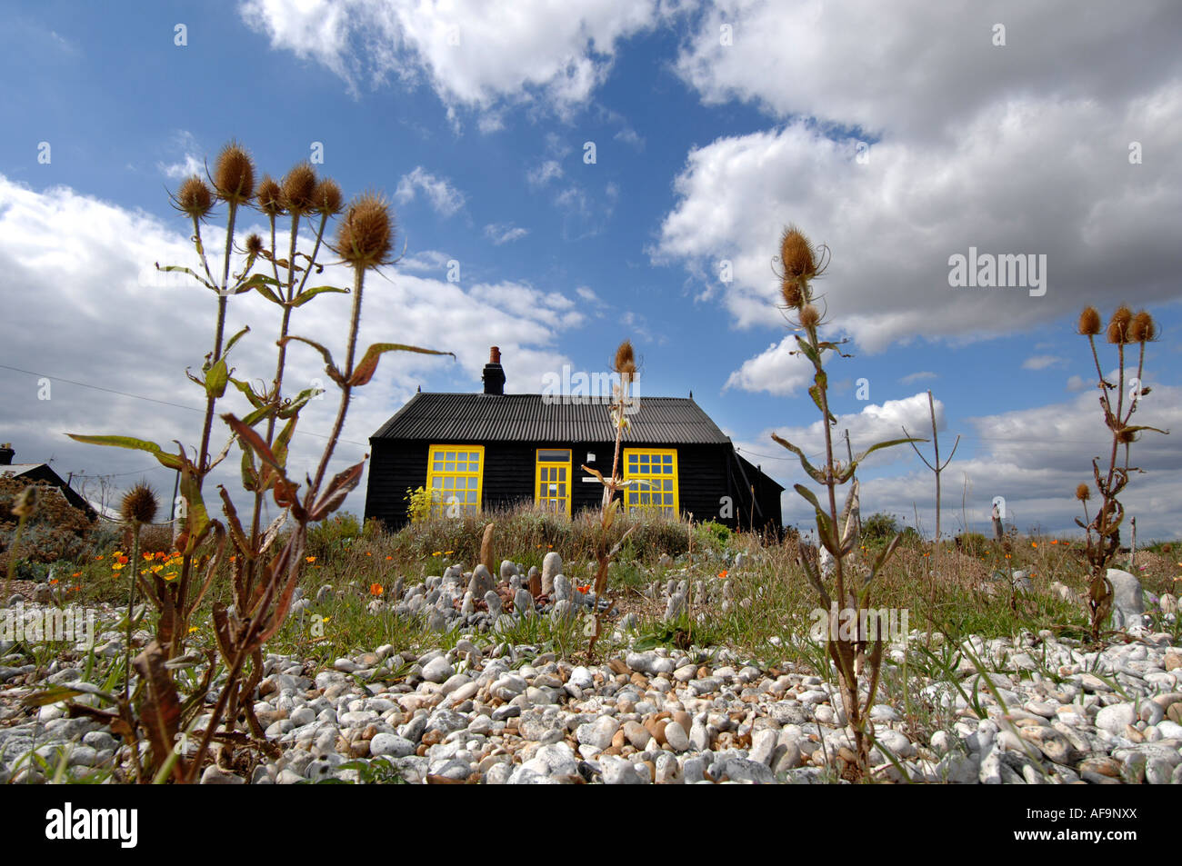 A View Of Prospect Cottage The Home And Garden Of The Late Artist And A View Of Prospect Cottage The Home And Garden Of The Late Artist And