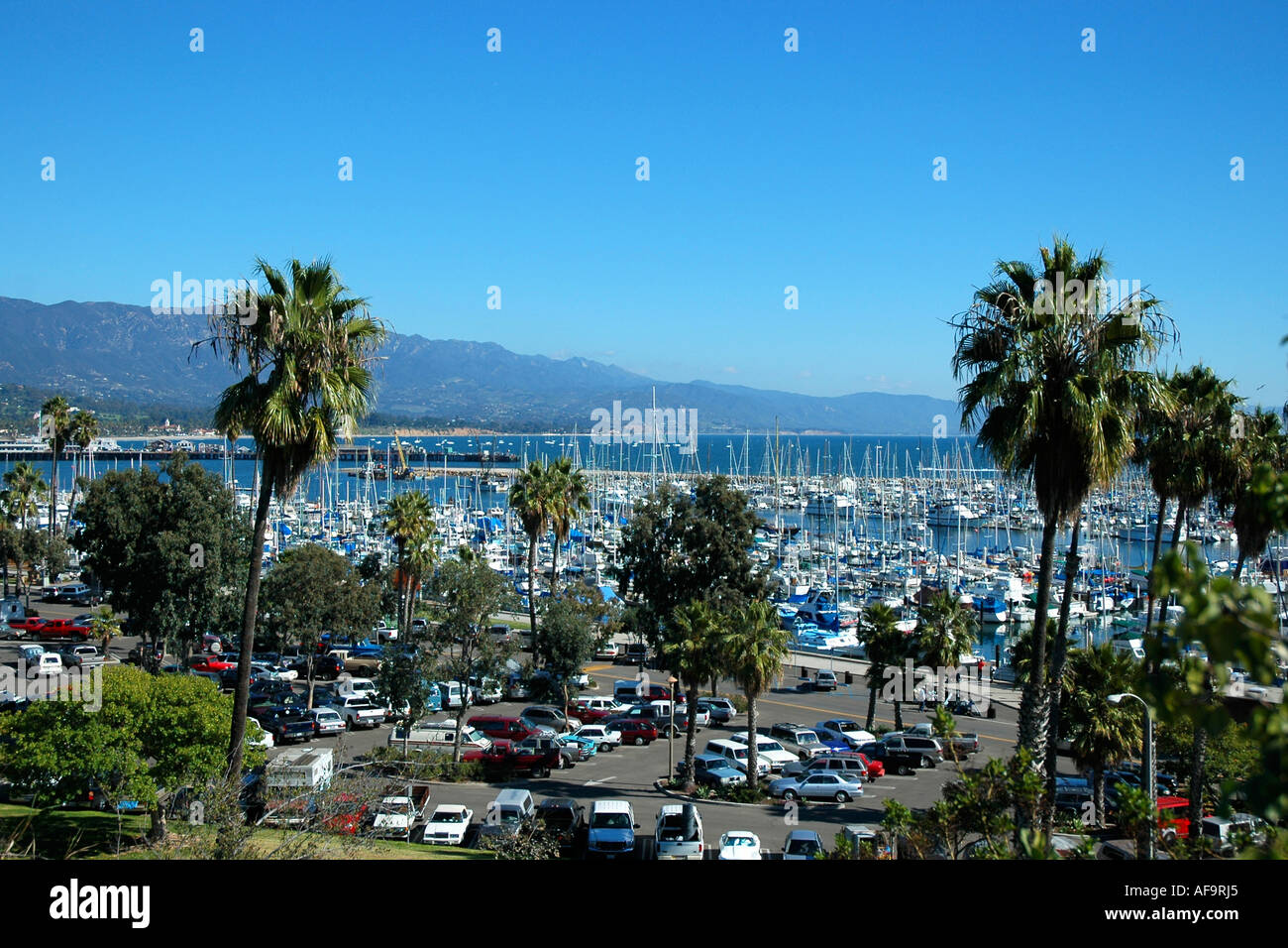 Crowded marina, parking lot, and palm trees in Santa Barbara, California Stock Photo