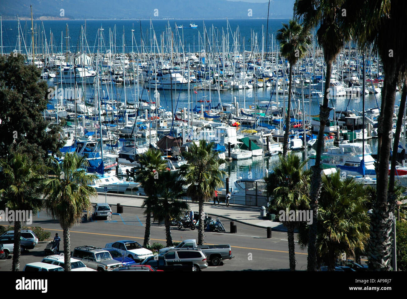 Crowded marina, parking lot, and palm trees in Santa Barbara, California Stock Photo