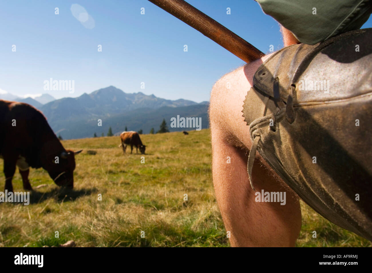 Farmer on pasture, low section Stock Photo