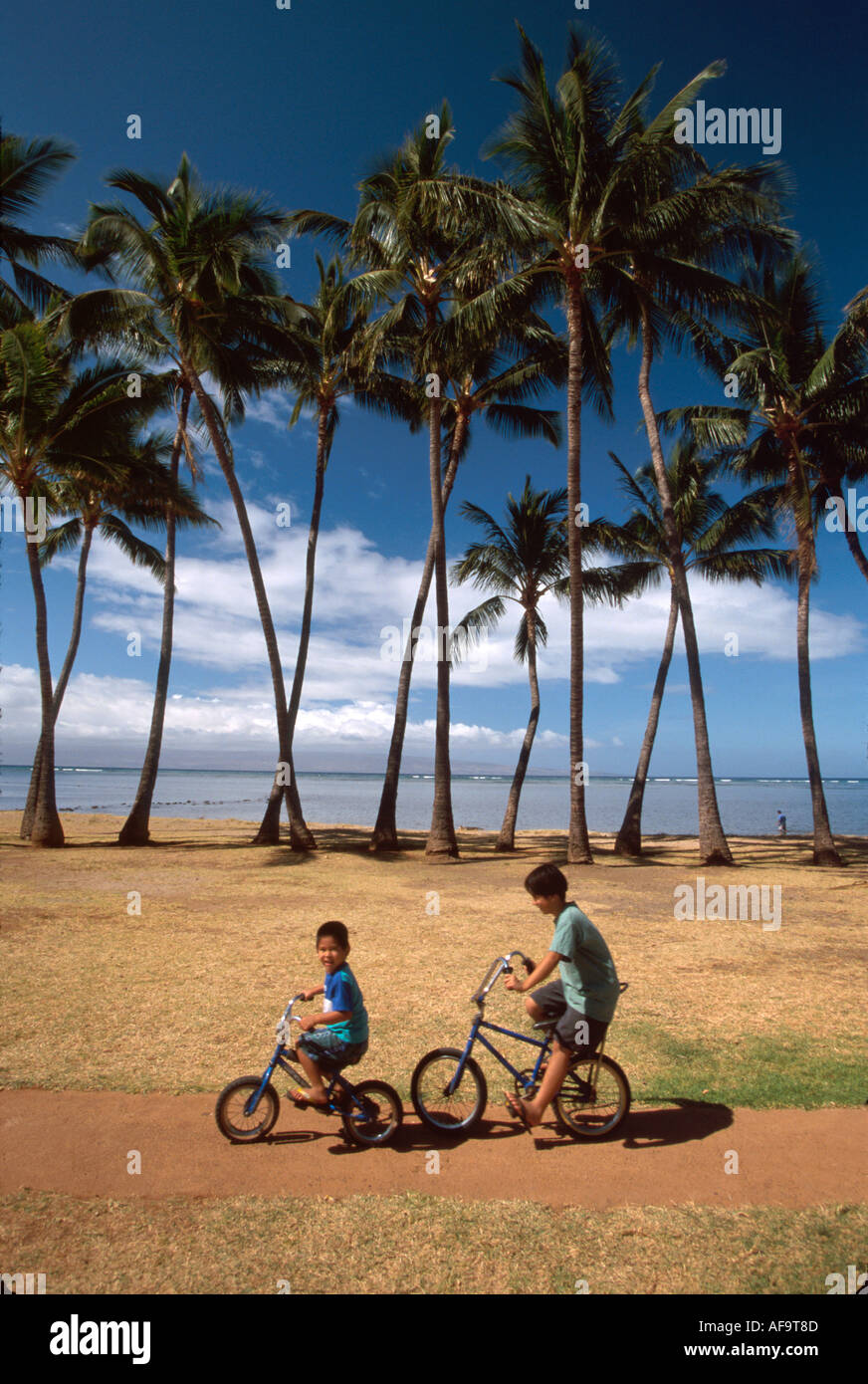 Hawaii,Hawaiian Islands,Molokai One Ali'i Park,public land,recreation,Kalohi Channel Native Hawaiian kids,child,children,bikes palm trees,tree trees,t Stock Photo