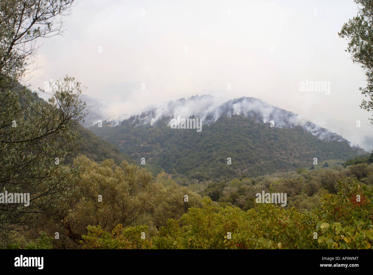 forest fires in Taygetus mountains, Greece 2007, Greece, Peloponnes, Kalamata Stock Photo