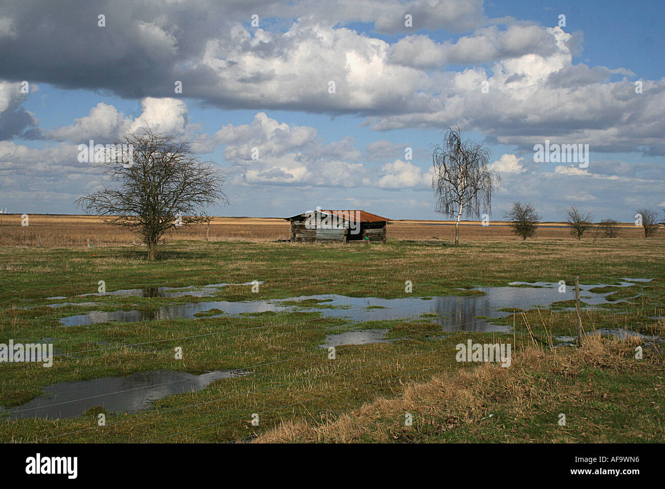 Fruehlingswiese mit Holzhuette Spring meadow with wooden hut Stock Photo