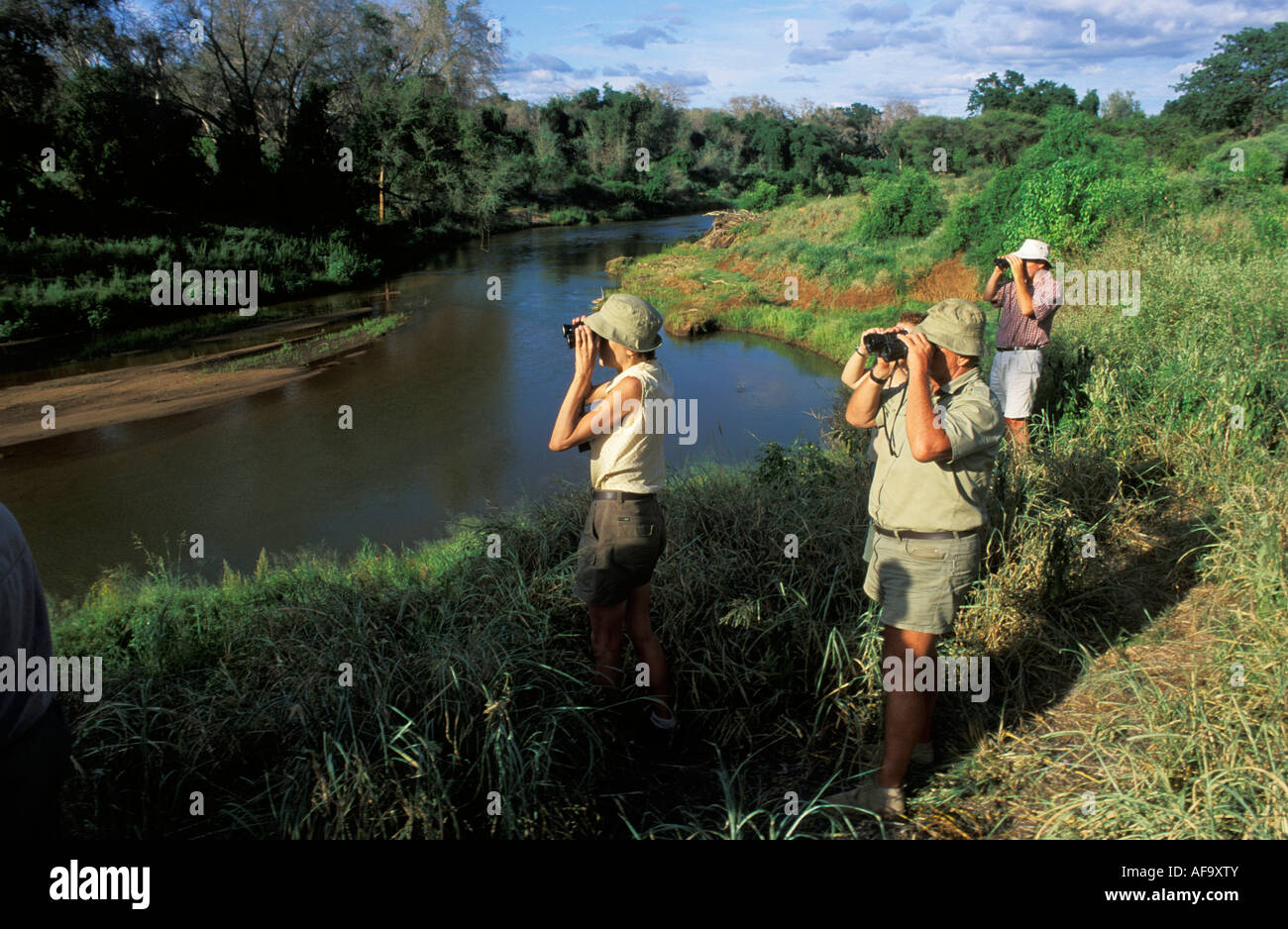 A group of bird watchers looking through binoculars while on a wilderness hike on the banks of the Luvuvhu River South Africa Stock Photo