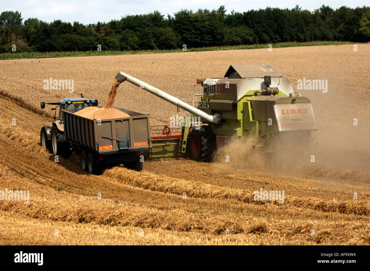 combine harvester loading a moving tractor in east anglia uk Stock ...