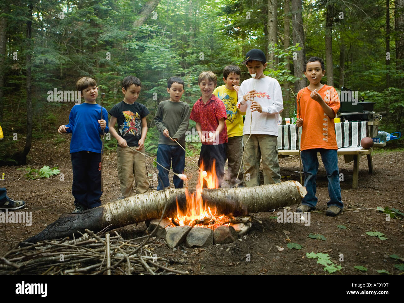 Group of little boys on camping trip roasting marshmallows and having