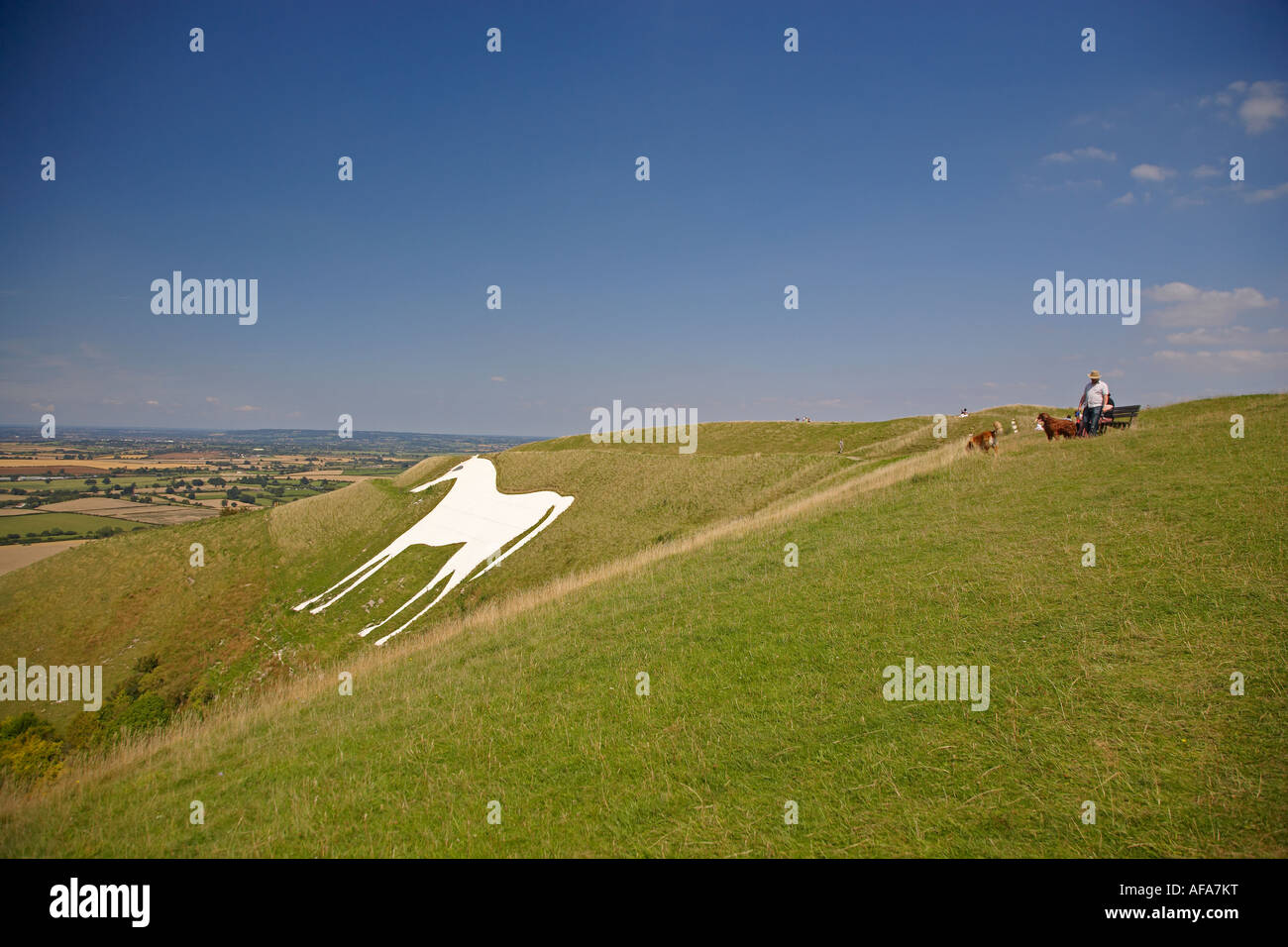 White horse hires stock photography and images Alamy