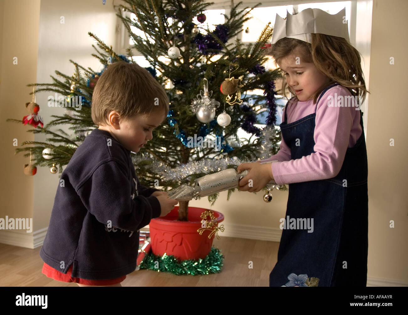 Brother and Sister Pulling a Christmas Cracker Stock Photo
