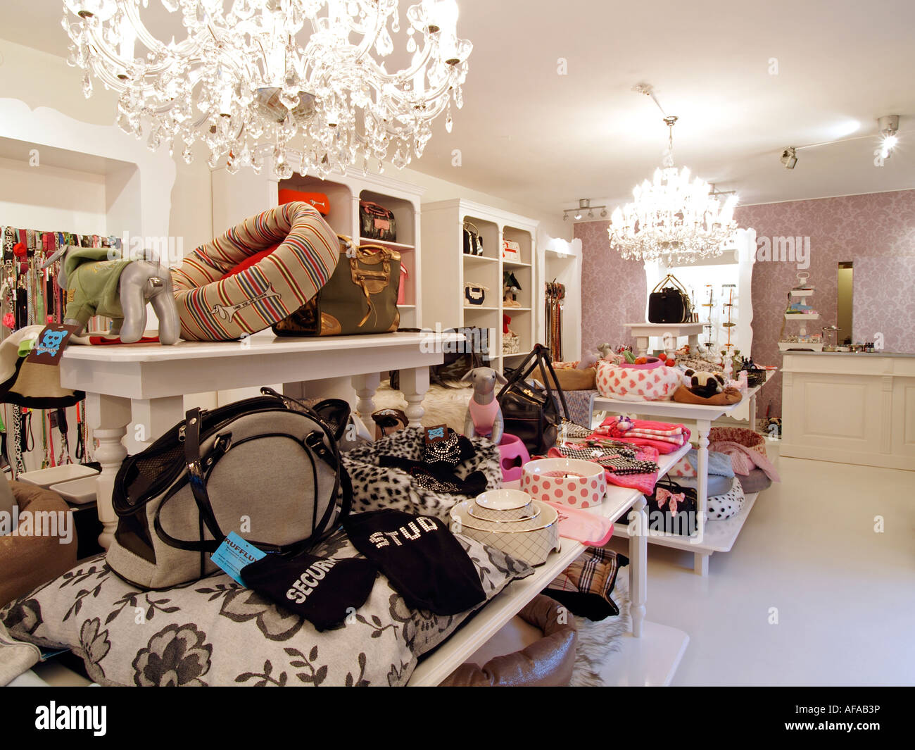 Luxury dog hotsell boutique